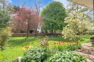 Photo 55- click for photo gallery